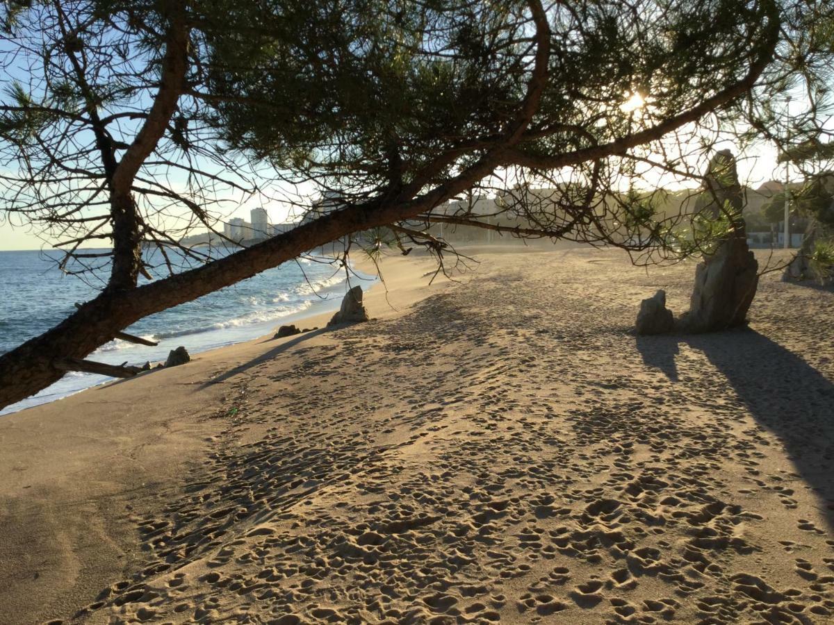 Politur Platja d'Aro Exterior foto